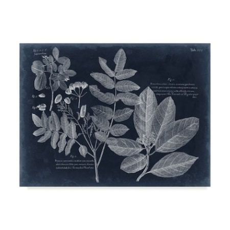 Vision Studio 'Foliage On Navy V' Canvas Art,35x47